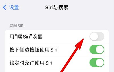 舟山苹果13维修分享iPhone 13怎么唤醒 Siri  